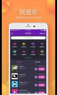 爆料短视频软件免费下载大全,一网打尽热门应用，畅享娱乐新体验  第2张